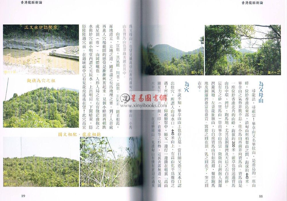 刘锐山/宏泓道者：香港龙脉新论