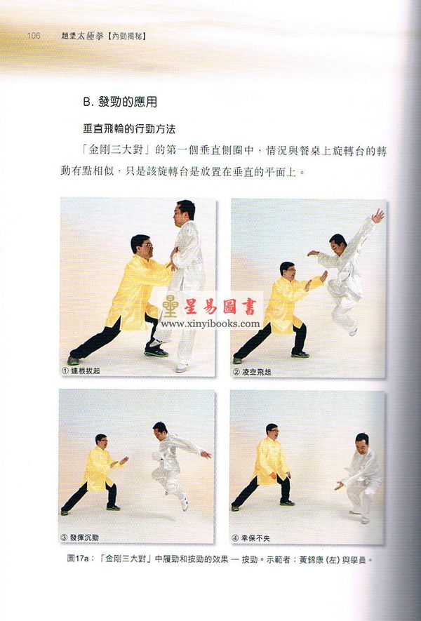 彭汉强：赵堡太极拳-内劲揭秘（附DVD）