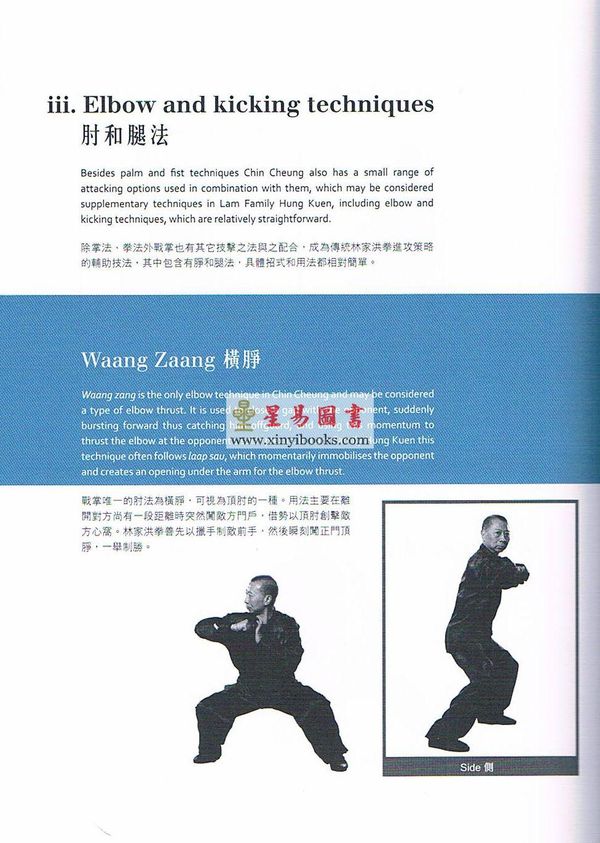 林镇辉：洪拳功法—战掌曁伏虎拳对拆（精装）（中英文对照）