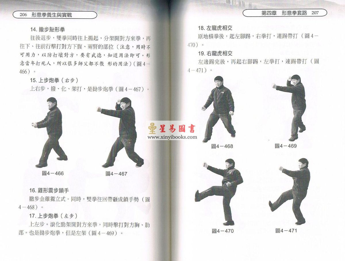 张世杰/赵立文：形意拳养生与实战（附DVD）