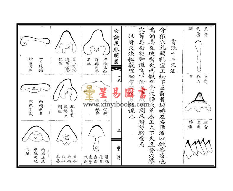 清·周中复订注：五星穴法正变明图·九星穴诀捉脉明图（線裝）