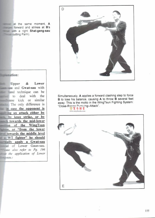 Dr. Leung Ting梁挺博士：Wing Tsun Kuen（英文版）