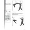 Dr. Leung Ting梁挺博士：Wing Tsun Kuen（英文版）