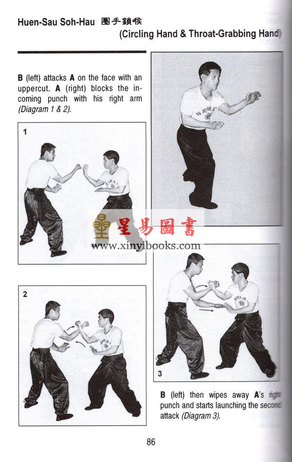 Sifu Lau Biu：Choi Mok Kuen（南少林蔡莫拳英文版）
