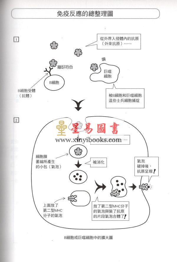 多田富雄/萩原清文：圖解免疫學（台灣晨星）