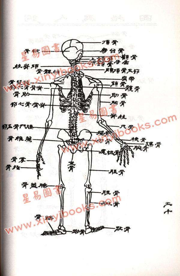少林派少林寺：铜人簿秘方