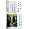 曾子南：古屋名宅地理风水
